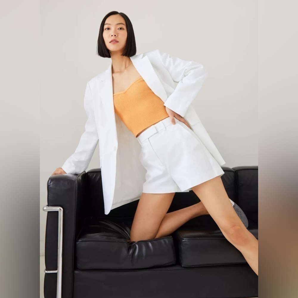 Aritzia Babaton Agency Blazer